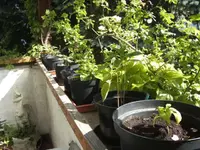 BILD2859.webp