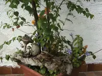 BILD2862.webp