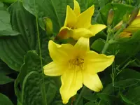 corky1_1024x768.webp
