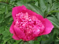 004_1024x768.webp