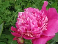 005_1024x768.webp