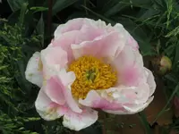 006_1024x768.webp
