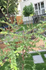 IMG_0558_web.webp