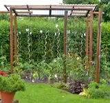 DSC_9230_Tomatendach.webp