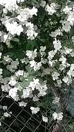 WP_20140527_002.webp