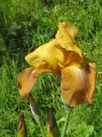 005_576x768.webp