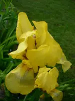 DSCI2577.webp