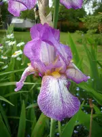 DSCI2564.webp