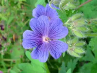 DSCI2579.webp