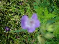 DSCI2567.webp