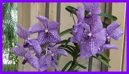 142.webp