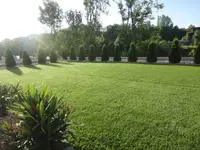 Rasen am 01. Juni 2014.webp