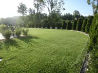 Rasen am 01. Juni 2014 - 04.webp