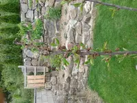 20140601_101324.webp