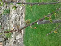 20140601_101333.webp