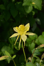 DSC_1728.webp