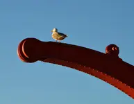 DSC_0142.webp