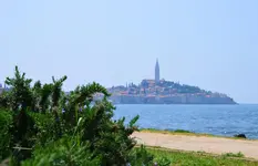 DSC_0098.webp