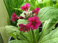 001_1024x768.webp