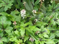 002_1024x768.webp