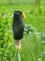 007_576x768.webp