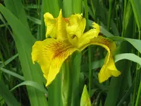 010_1024x768.webp