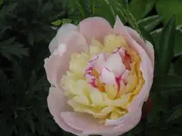 006_1024x768.webp