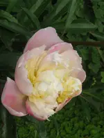 011_576x768.webp