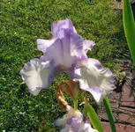 FILE0320A.webp