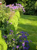 DSCN8297.webp