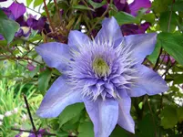 DSCI2584.webp