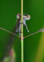 DSC_0166.webp