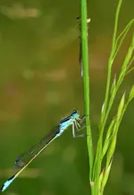 DSC_0189.webp