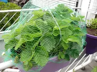 SAM_0034.webp
