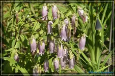 comp_DSC01501.webp