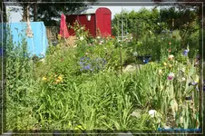 comp_DSC01518.webp