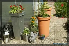 comp_DSC01520.webp