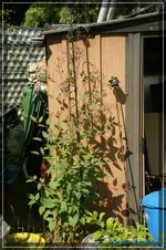 comp_DSC01521.webp