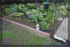 comp_DSC01522.webp
