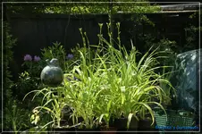 comp_DSC01515.webp