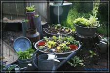 comp_DSC01497.webp