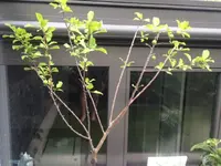 image(2).webp