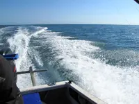 Fishing day 2014 (6)v.webp