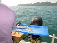 Fishing day 2014 (8).webp