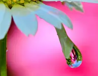 DSC_0040.webp