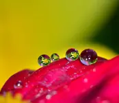DSC_0075.webp