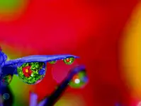 DSC_0024.webp
