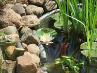 Garten 004.webp