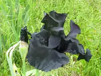 020_1024x768.webp