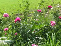 002_1024x768.webp